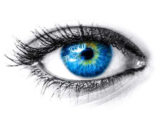 Eye Health with Okra