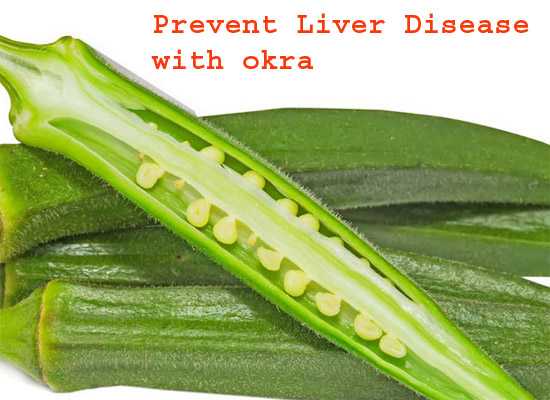 Okra Prevents Liver Disease