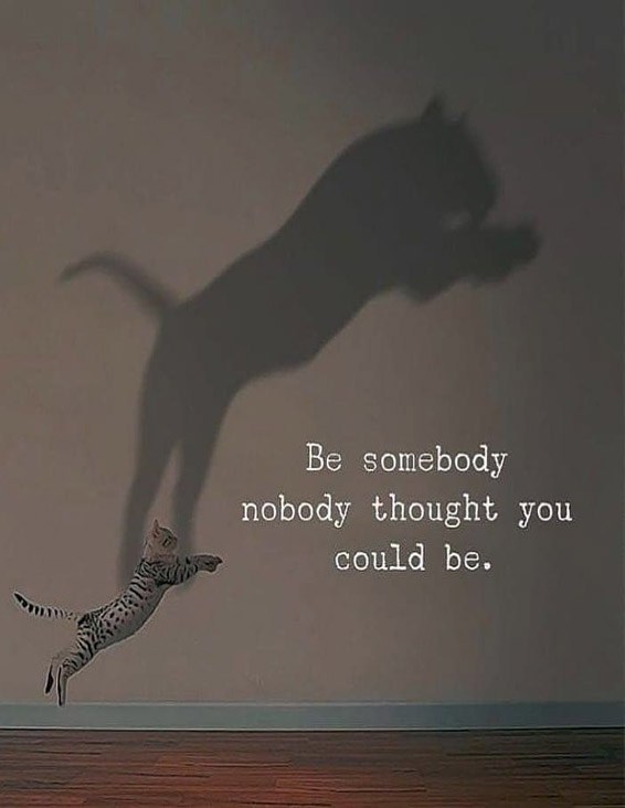 Be Somebody No Body Thought - Best Quotes Ideas