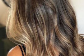 Soft Blends Of Brunette Balayage Hair Colors in 2019