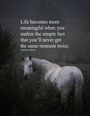 Life Becomes More Meaning Full when you - Best Life Quotes