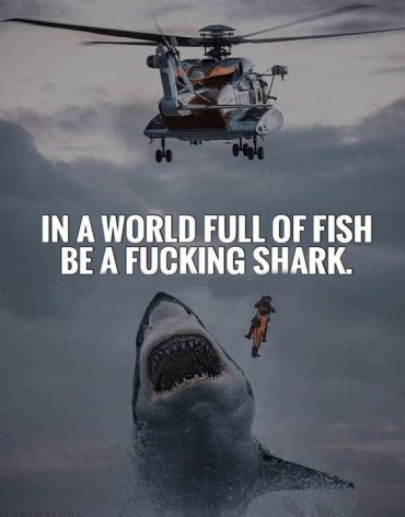 In a World Full of Fish - Ever Best Quotes for Everyone