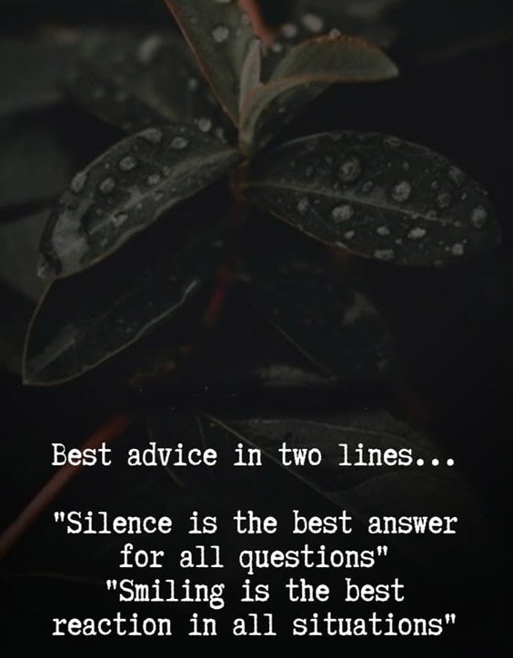 Silence is the Best Answer - Best Advice Quotes 